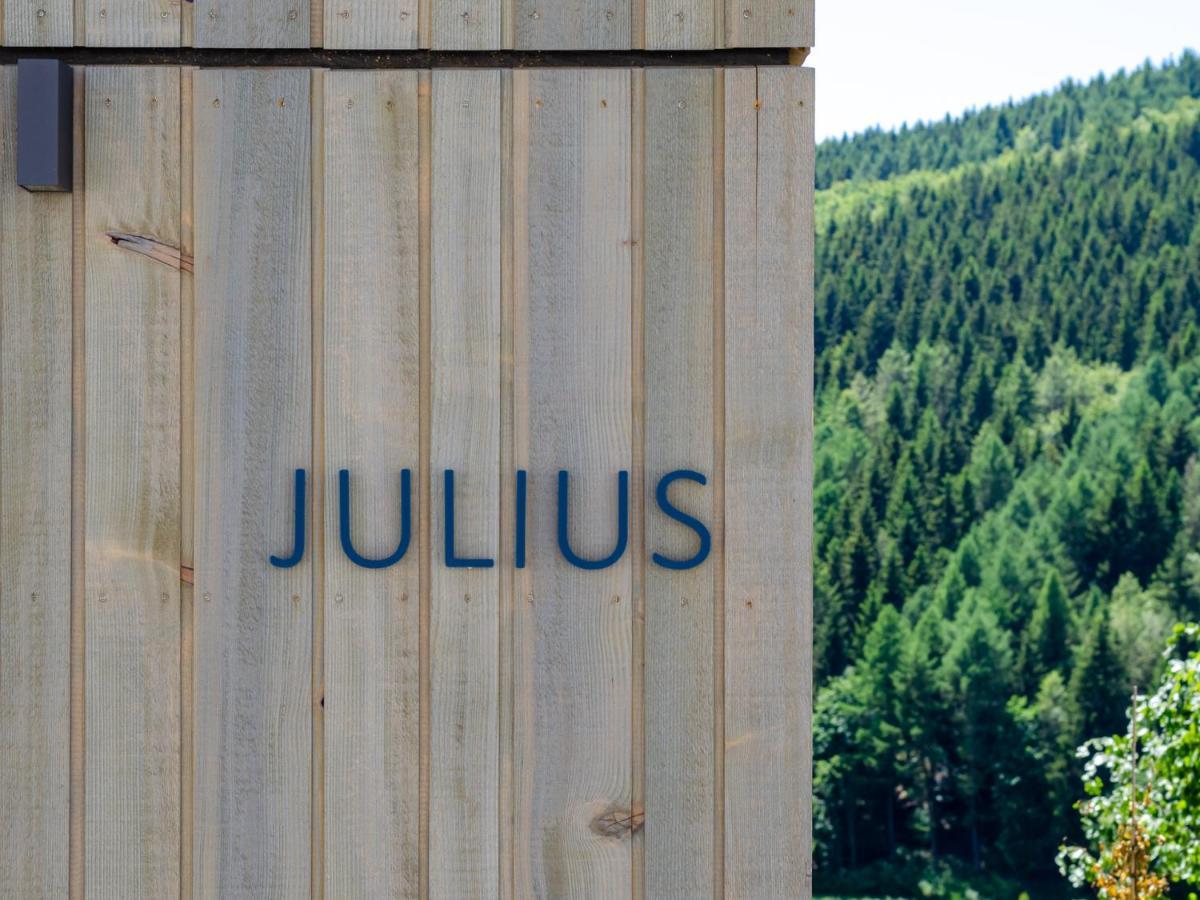 Vakantiehuis Sauerland - Haus Julius