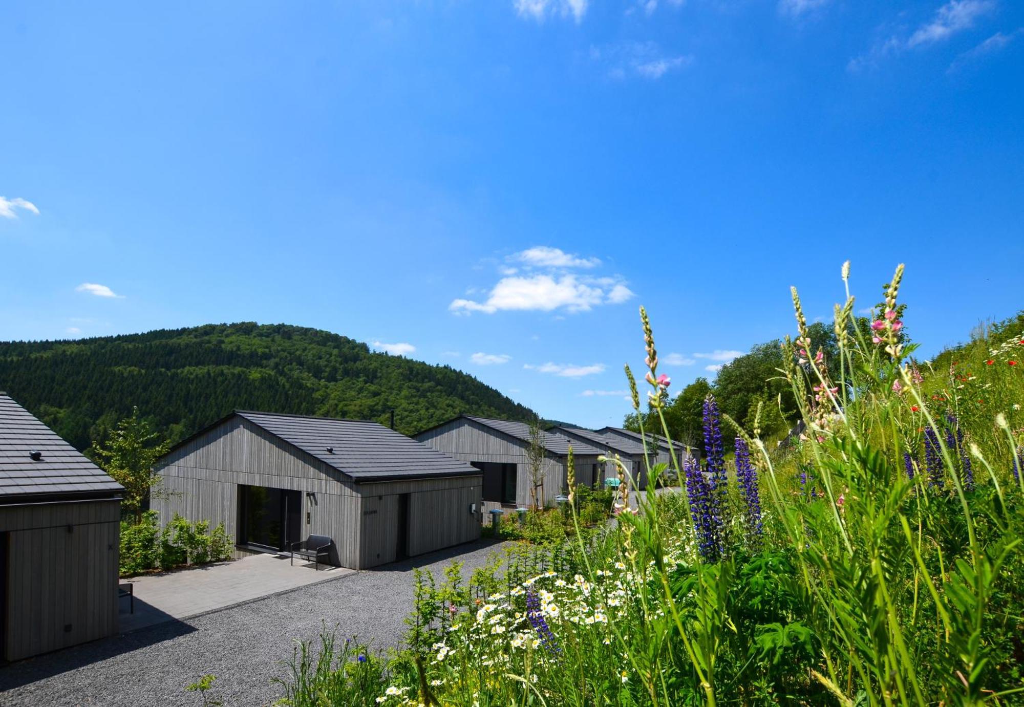 Holiday home Sauerland - Haus Julius *